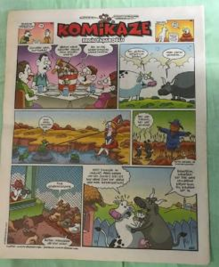 HAFTALIK PENGUEN 13 HAZİRAN PERŞEMBE SAYI : 2013 / 24 