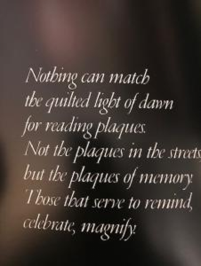 PARADİSE PRESERVED İLHAN AKŞİT