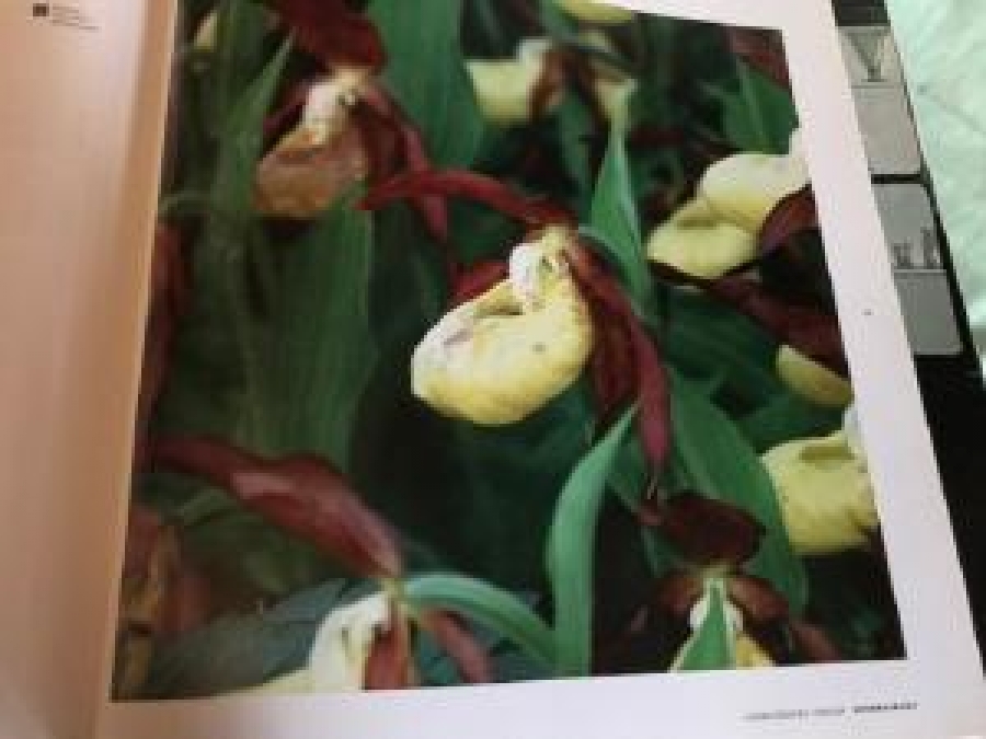 PER BERGGREN VARMLANDS PARLOR YAŞANANLAR