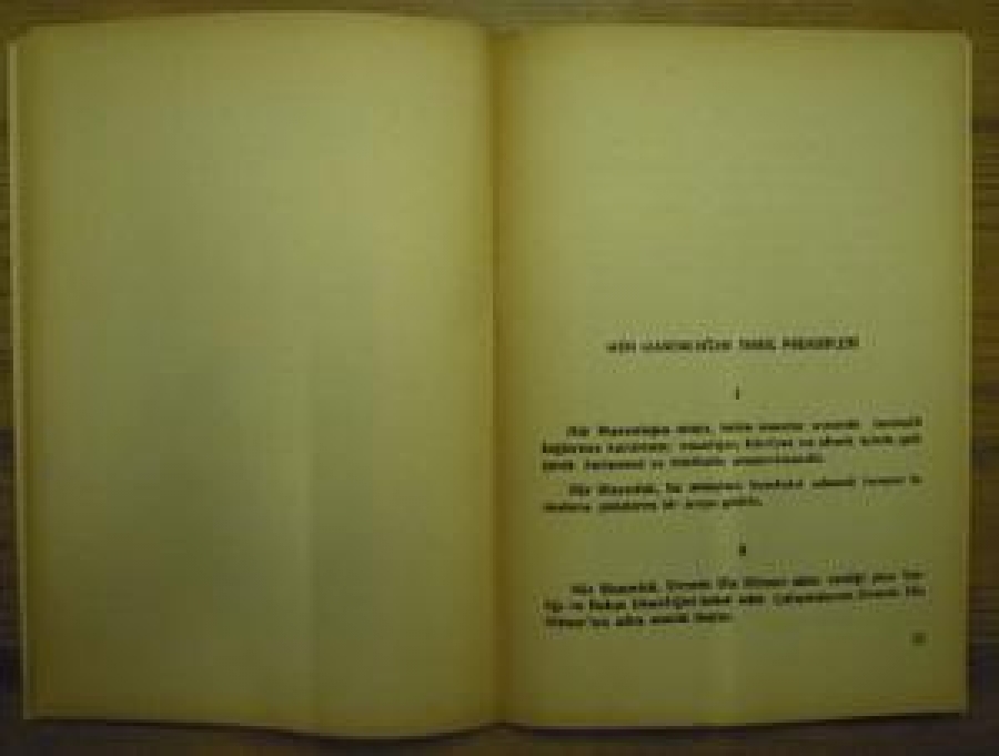 MASONLUK ÜZERİNE BİLGİLER YAŞAM BİÇİMLERİ