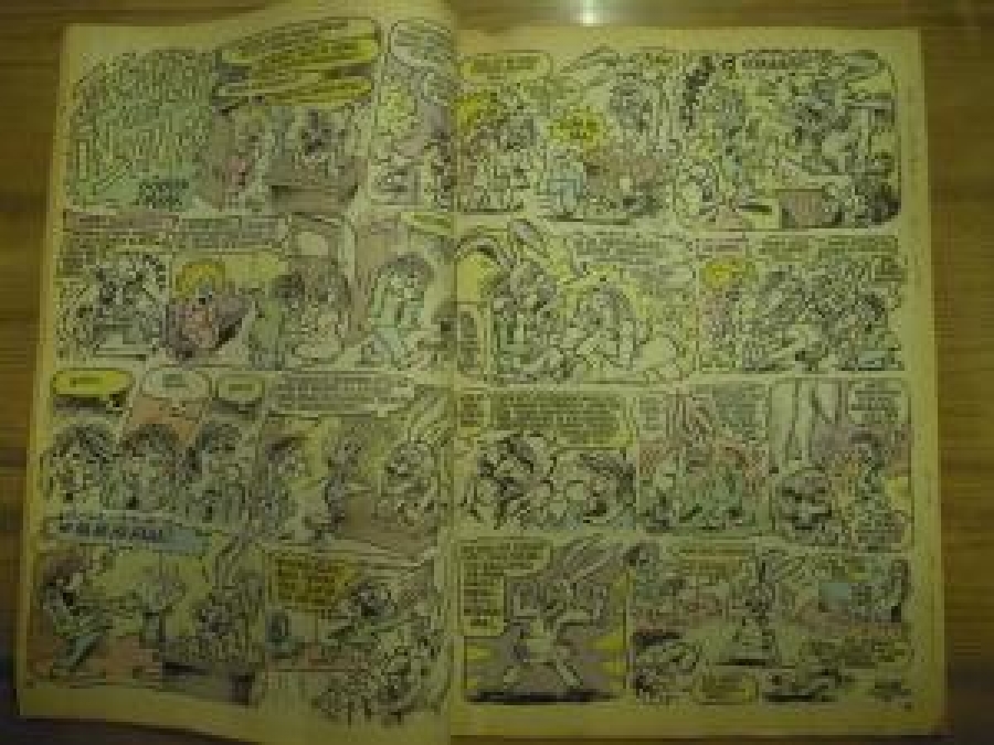 LEMAN - MANYAK CACIK SAYI : 7. TEMMUZ 1996 