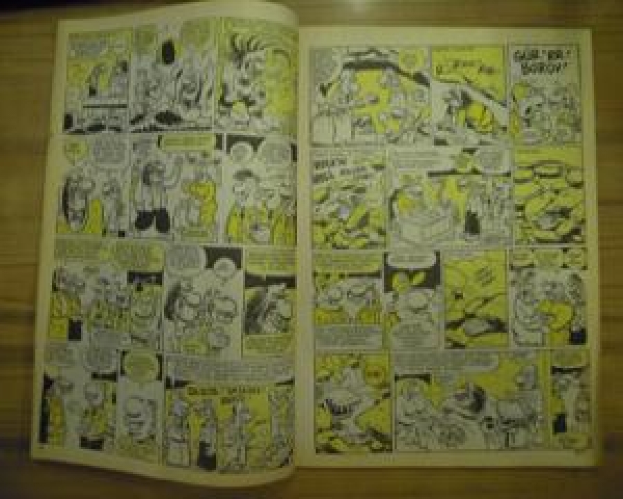 LEMAN-MANYAK SAYI : 2001/02 ŞUBAT 2001 TOSUNCUK 