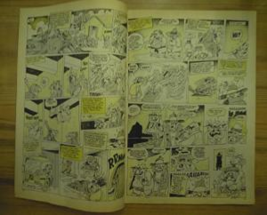 LEMAN-MANYAK SAYI : 26 ŞUBAT 1998 DİŞLEK 