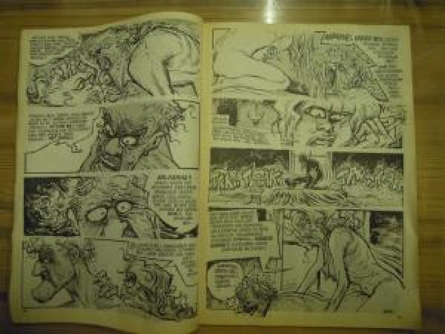 LEMAN - MANYAK ZAMALİFKA SAYI : 11 KASIM 1996 VASATİ 64 SAHİFE 