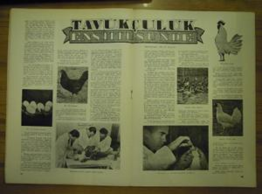 RADYOMUZUN YAYIM PROGRAMLARI 1 ARALIK 1946 - CİLT : 5 - SAYI : 60 