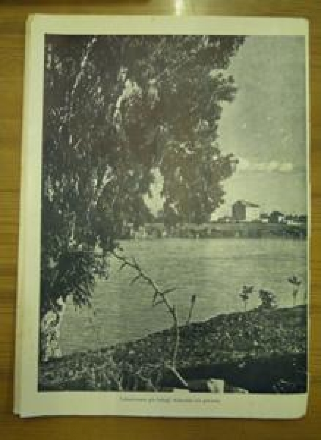 RADYOMUZUN YAYIM PROGRAMLARI 1 HAZİRAN 1946 - CİLT : 5 - SAYI : 54 