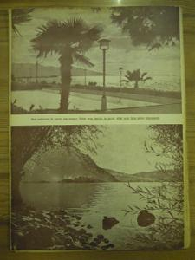 RADYOMUZUN YAYIM PROGRAMLARI 15 HAZİRAN 1943 CİLT : 2 - SAYI : 19 