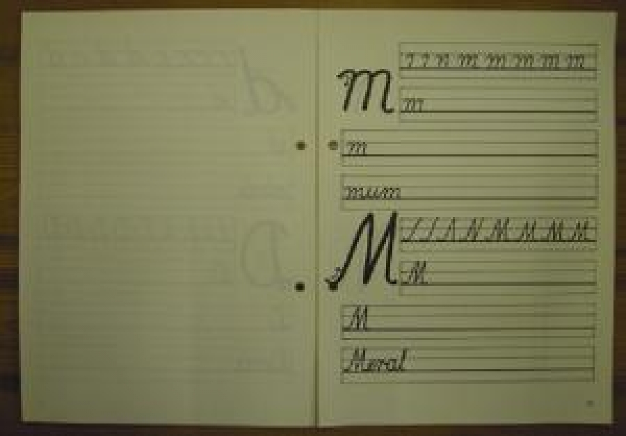 1960 YURDA DIŞINDA OKULLARDA TÜRK TALEBELERİ İÇİN İLK OKULA YAZMA 