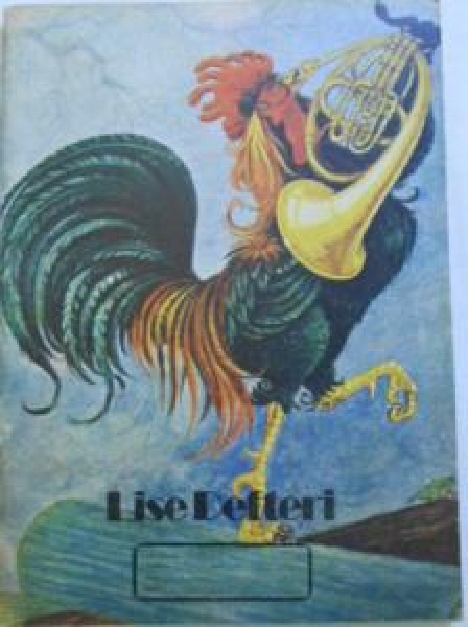 ÇİZGİLİ BEYAZ RESİMLİ VE ÇARPIM  KAPAK LİSE DEFTERİ 