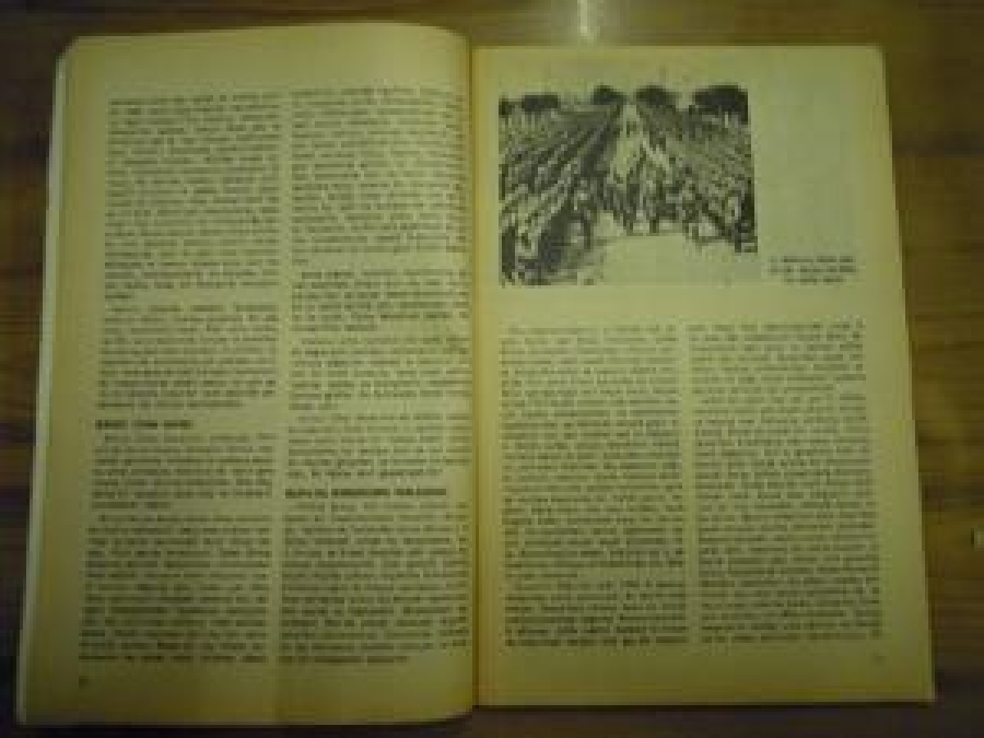 HAYAT TARİH MECMUASI SAYI :12 ARALIK 1973 