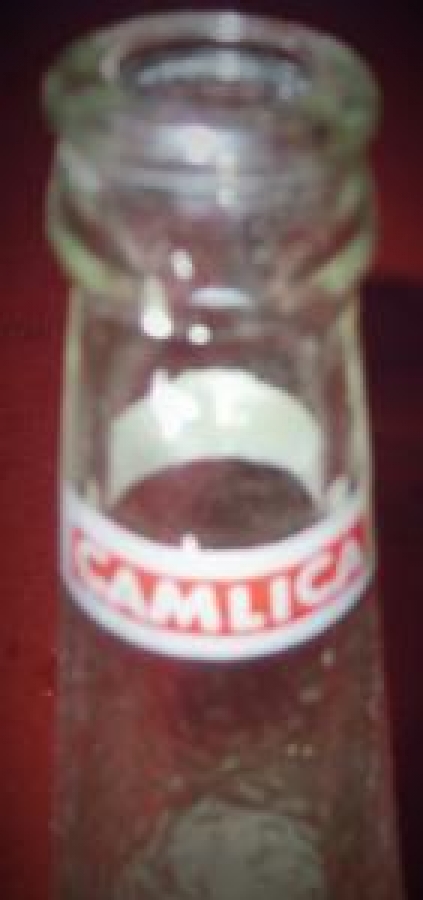 "ÇAMLICA" BOŞ GAZOZ ŞİŞE