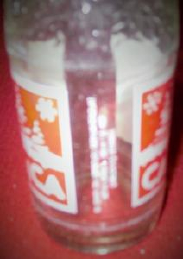 "ÇAMLICA" BOŞ GAZOZ ŞİŞE