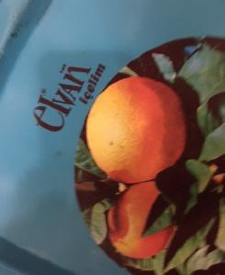 ELVAN MEYVELİ İÇECEK PORTAKAL TEMALI TENEKE TEPSİ 