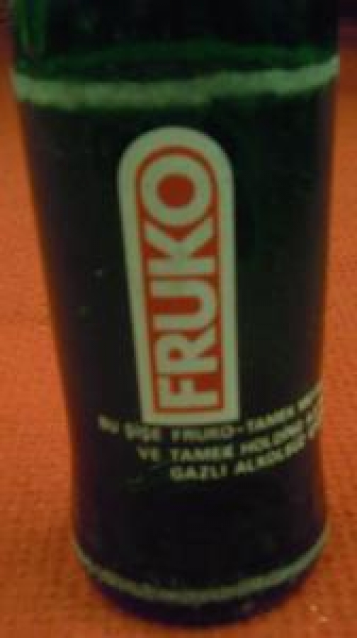 FRUKO TAMEK MEYVE SUYU YEŞİL ŞİŞE 250 ml 