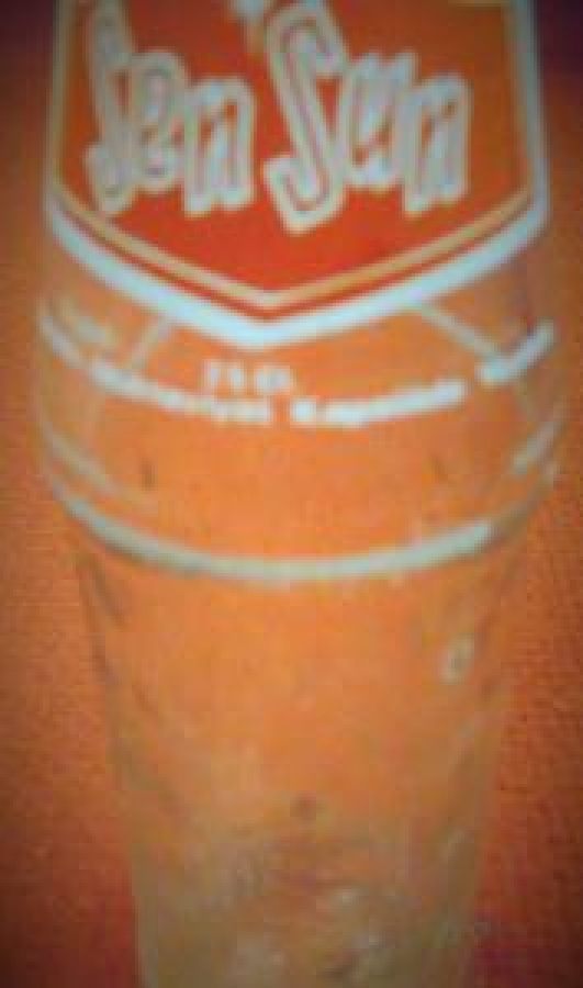 SEN SUN GAZOZ BOŞ ŞİŞE 250 ml İZMİR 