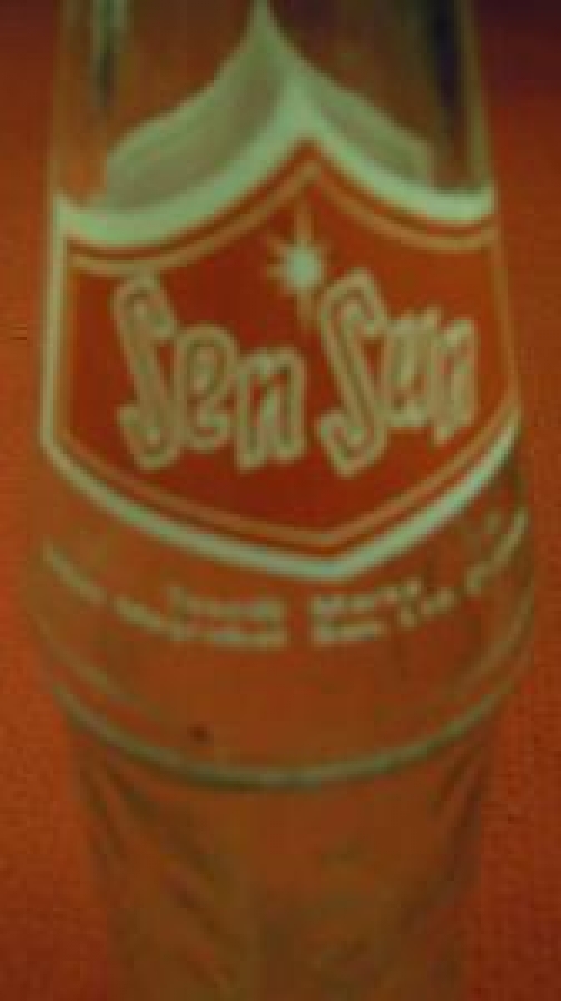 SEN SUN GAZOZ BOŞ ŞİŞE 250 ml İZMİR 