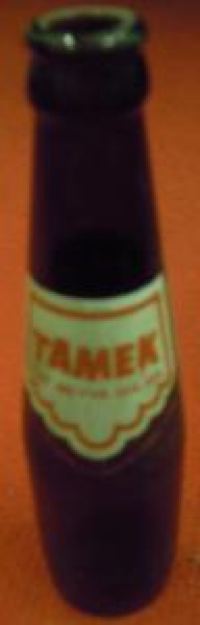 TEMEK SAF MEYVE SULARI 20 cl BOŞ ŞİŞE 