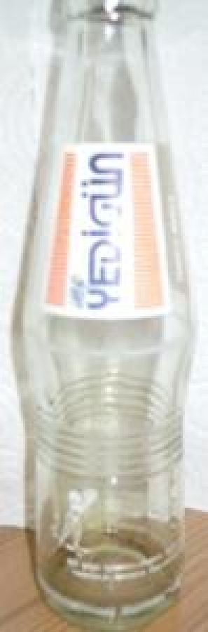 YEDİGÜN MEYVELI TESCİLLİ MARKA 250 ml BOŞ CAM ŞİŞE 