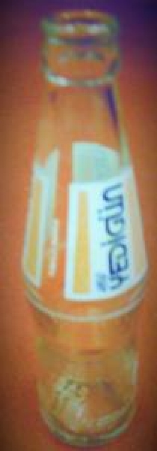 YEDİGÜN MEYVELI TESCİLLİ MARKA 250 ml BOŞ CAM ŞİŞE 