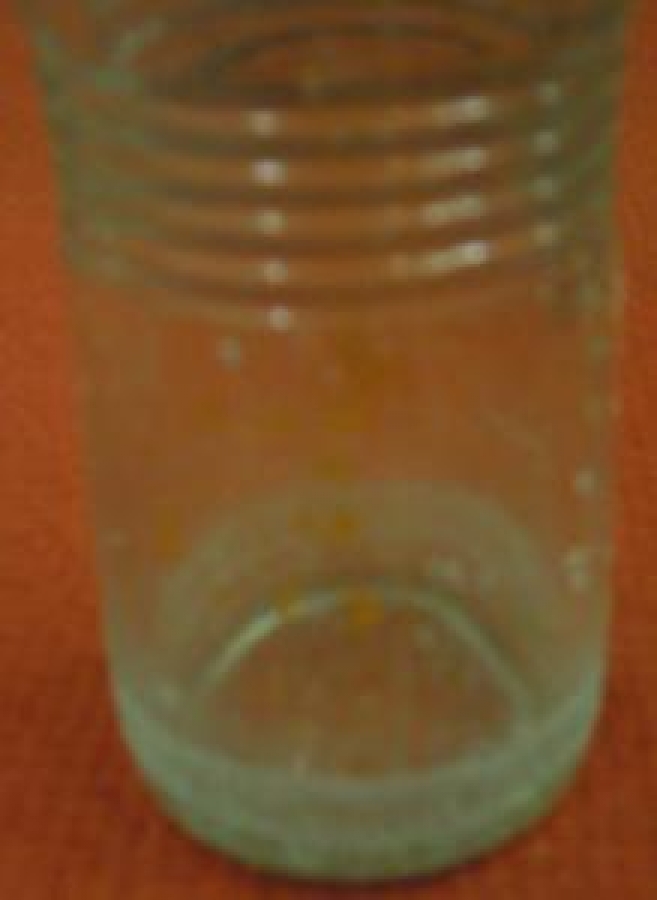 YEDİGÜN MEYVELİ TESCİLLİ MARKA 250 ml BOŞ CAM ŞİŞE 