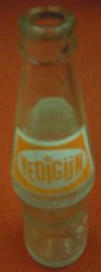 YEDİGÜN MEYVELİ TESCİLLİ MARKA 250 ml BOŞ CAM ŞİŞE 