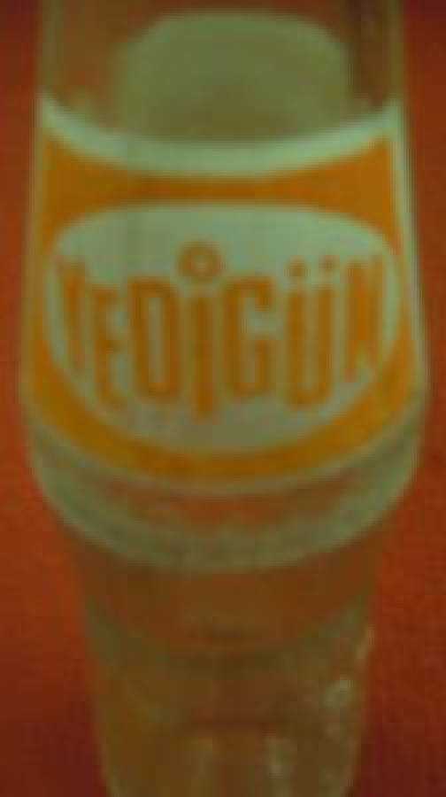 YEDİGÜN MEYVELİ TESCİLLİ MARKA 250 ml BOŞ CAM ŞİŞE 