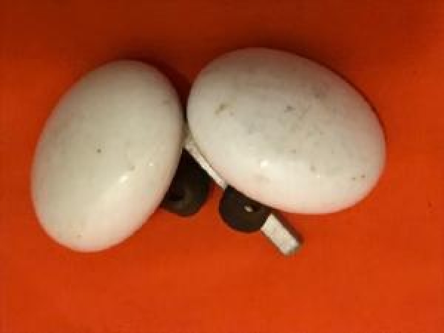 PORSELEN TOPUZ BAŞI İÇ DIŞ KAPI KOLU 