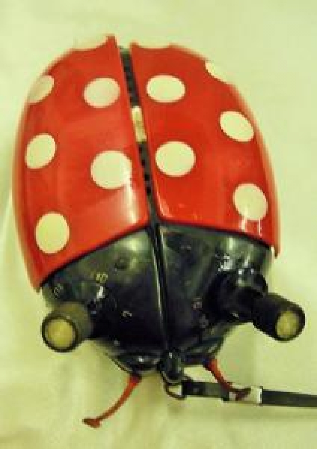 UĞUR BÖCEK ŞEKLİNDE PİLLİ KANATLARI ACILAN RADYO 