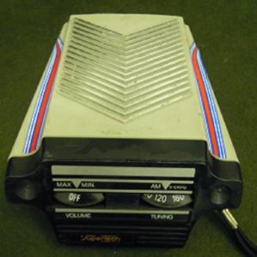 SÜPER TECH PİLLİ RADYO