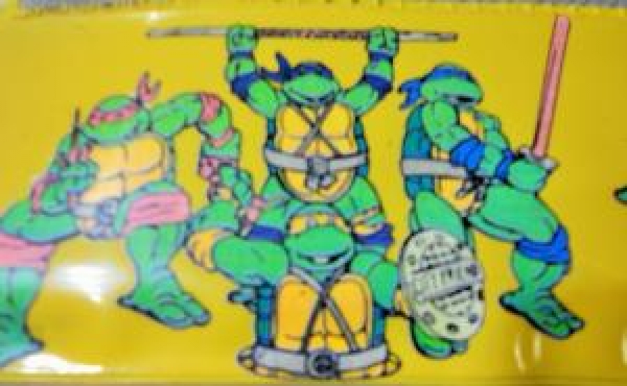 NİNJA KAPLUBAGA TURTLES FERMUARLI ÇOCUK KALEM KUTUSU 