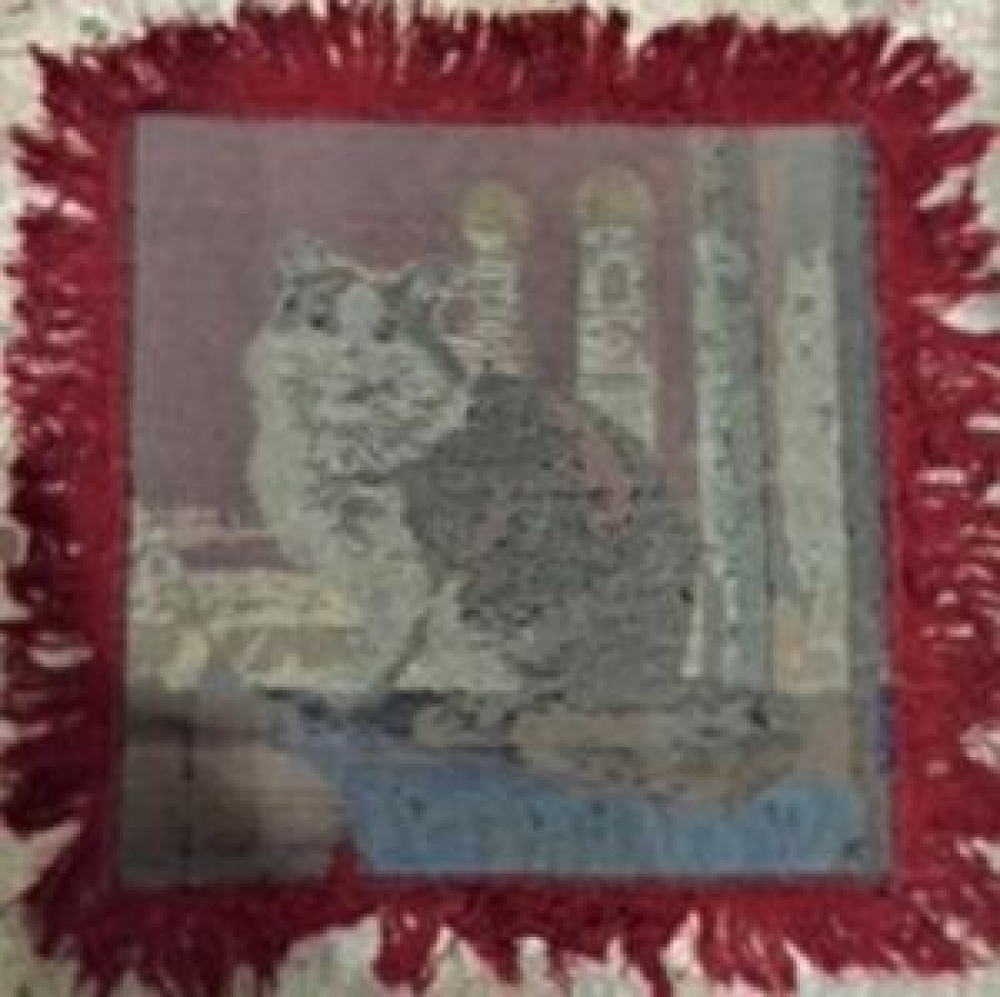 FLOŞ DOKUMA YASTIK KILIFI 50 X 50 İRAN KEDİSİ FÜGÜRLÜ 