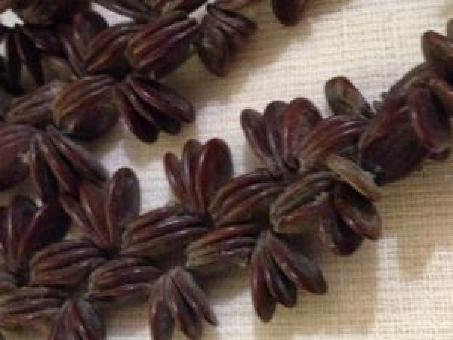 BİTKİ VE MEYVE ÇEKİRDEK VE TOHUMLARINDAN YAPILMIŞ TROPİKAL EL YAPIM CANTA  TAŞINABİLİR DEKORATIF KAHVERENGİ VE KREM TONLARDA KOLEKSİYON ÇANTA 