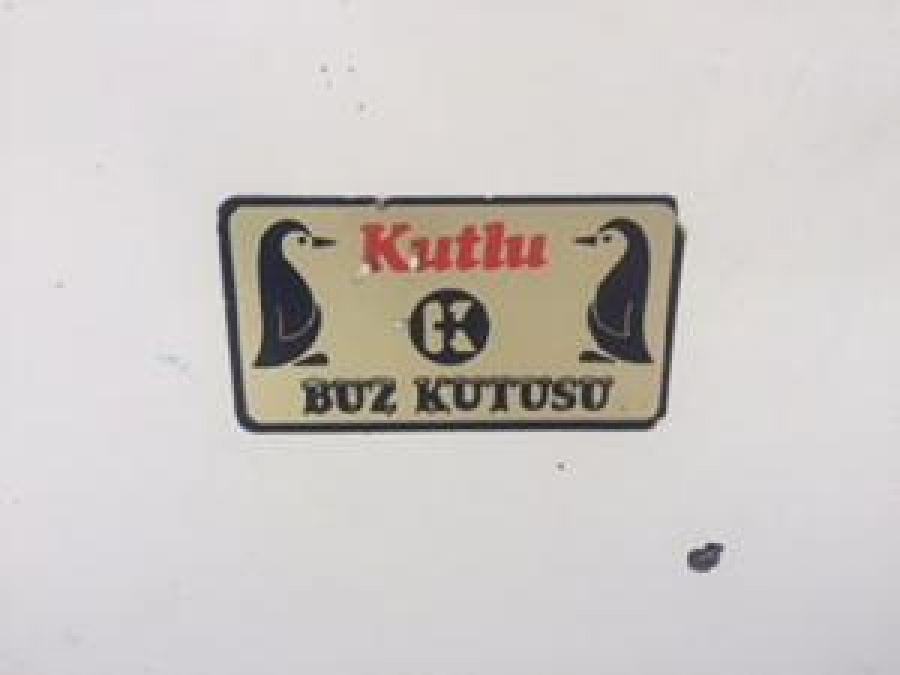 ARTEKNİK KUTULU BUZ KUTUSU KAPAKLI TERMOS METAL BUZLUK 30 LİTRELİK 