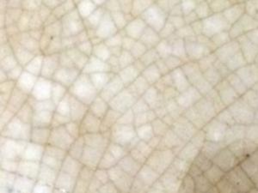 MAVİ BEYAZ TONLARDA PORSELEN SALKIM SÖĞÜT ET TABAK 1800 YILLAR CİN HANEDAN 