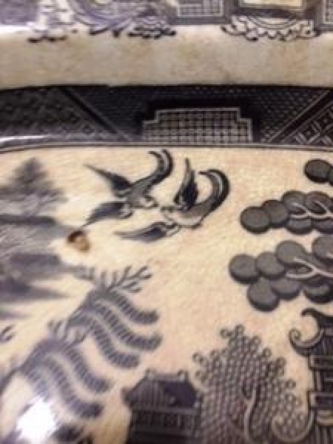 MAVİ BEYAZ TONLARDA PORSELEN SALKIM SÖĞÜT ET TABAK 1800 YILLAR CİN HANEDAN 