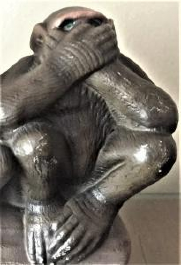 3 MAYMUN GÖRMEDİM DUYMADIM KONUŞMADIM