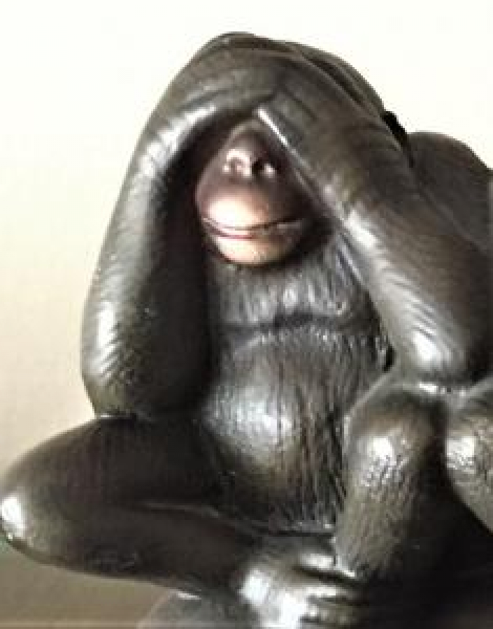 3 MAYMUN GÖRMEDİM DUYMADIM KONUŞMADIM