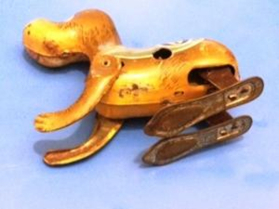 KURMALI ZIPLAYARAK GİDEN TENEKE KÖPEK