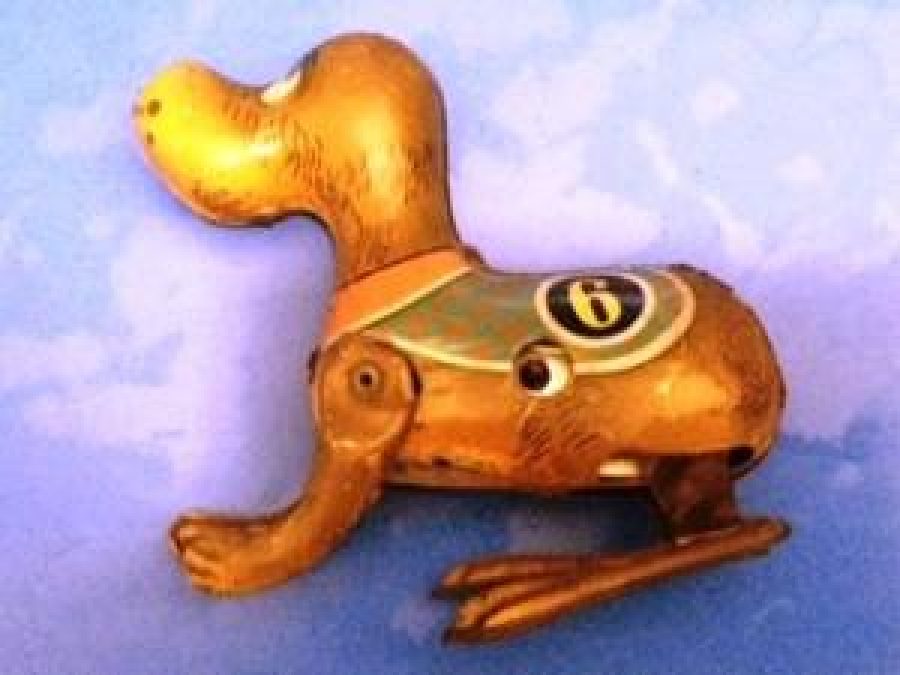 KURMALI ZIPLAYARAK GİDEN TENEKE KÖPEK