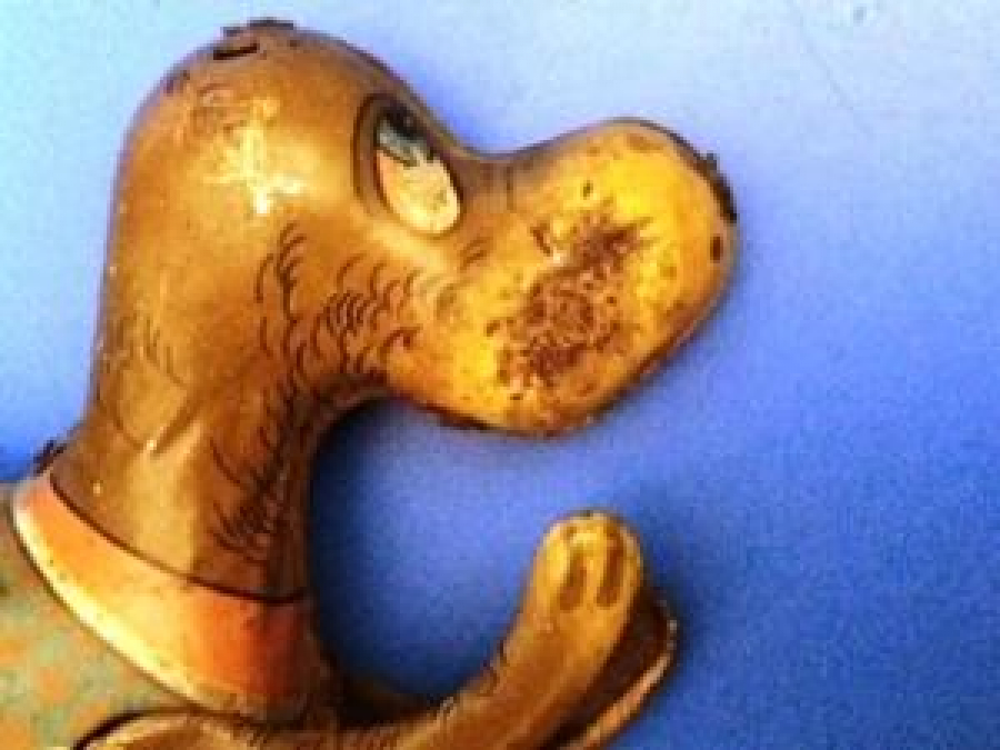 KURMALI ZIPLAYARAK GİDEN TENEKE KÖPEK