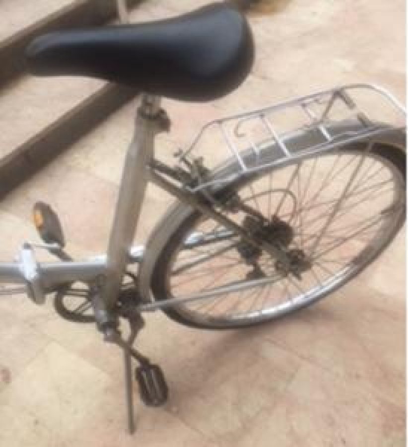 ZG 87 PLAKALI KATLANAN AYARLI SELE VE DİDON VİTESLİ BİSİKLET 