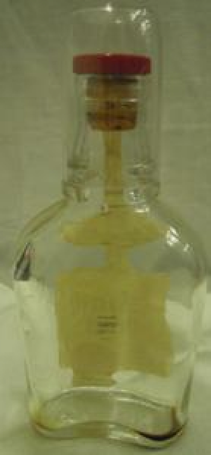 MİNYATÜR İÇKİ ŞİŞESİ KOLEKSİYON BOŞ VOTKA ŞİŞE 