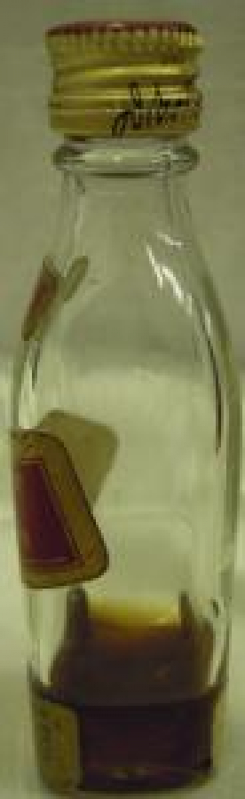 MİNYATÜR İÇKİ ŞİŞESİ KOLEKSİYON JOHNNİE WALKER SYDNEY 1880 PARIS 1885 ADELAIDE 1887 MELBOURNE 1881 DUNEDİN 1899 JAMAICA 1891 KIMBERLEY 1892 BRISBANE 1891 