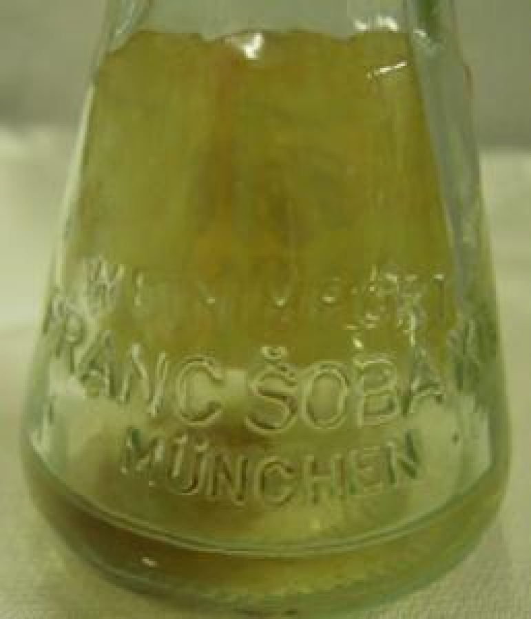 MİNYATÜR İÇKİ ŞİŞESİ KOLEKSİYON SLIVOVITZ 40 VOL% 40 ML 