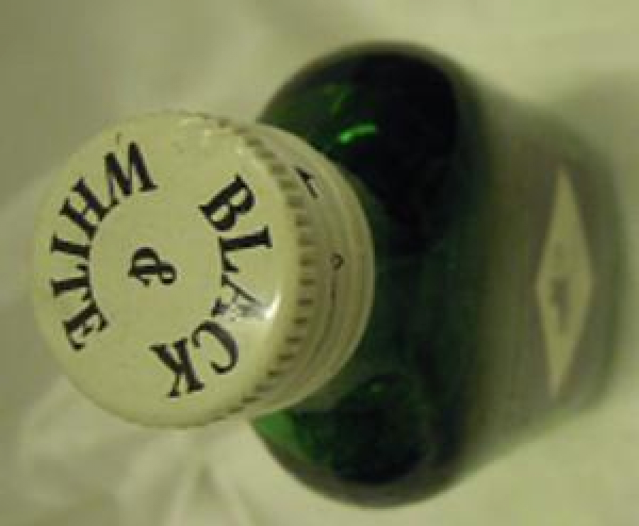 BLACK &WHITE SPECIAL BLEND OF MİNYATÜR İÇKİ ŞİŞESİ KOLEKSİYON 