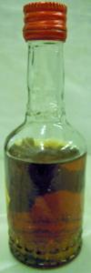 MİNYATÜR İÇKİ ŞİŞESİ KOLEKSİYON AHUDUDU LİKÖRÜ TEKEL 5 CL ALKOL DERECESİ 25 % 