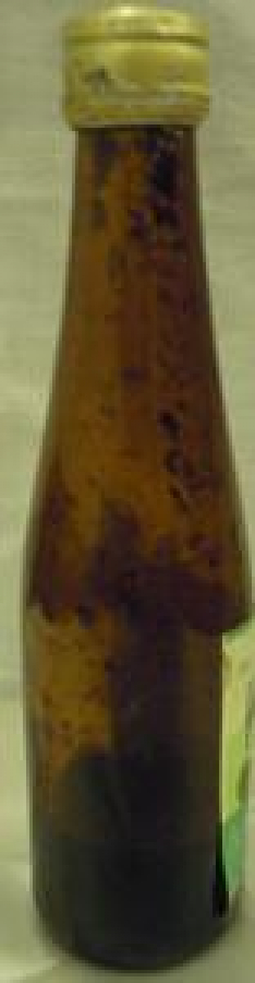 MİNYATÜR İÇKİ ŞİŞESİ KOLEKSİYON 