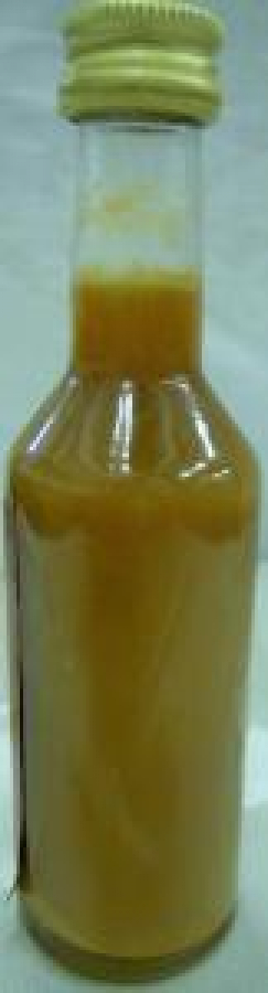 MİNYATÜR İÇKİ ŞİŞESİ KOLEKSİYON OLD NİCK MARTİNİQUE 