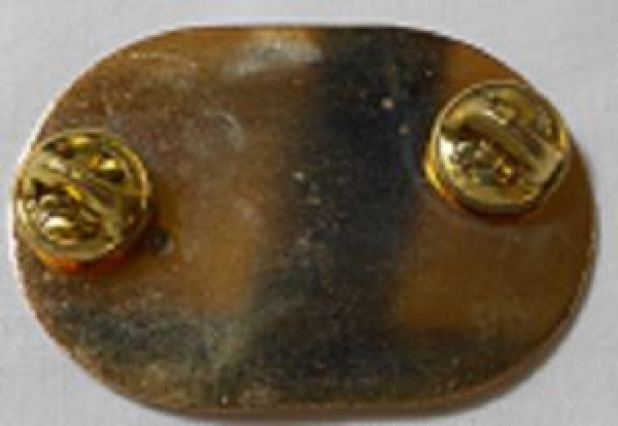 DISTRICT 202B NEW ZEALAND CENTRAL HAWKES BAY 1994 LİONS CLUP YAKA ROZET ORJİNAL METAL 