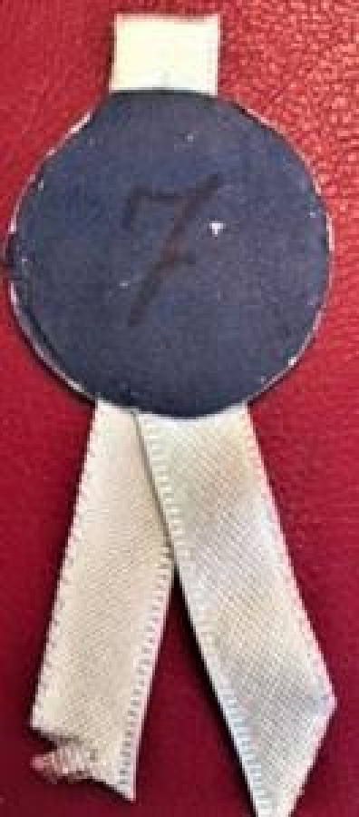 LIONS CLUP INTERNATIONAL KAĞIT YAKA ROZET